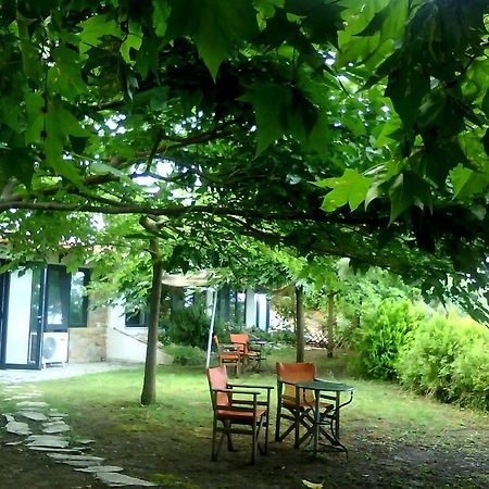 Country Art Studio Alkyoni Apartment Kokkino Nero Ngoại thất bức ảnh